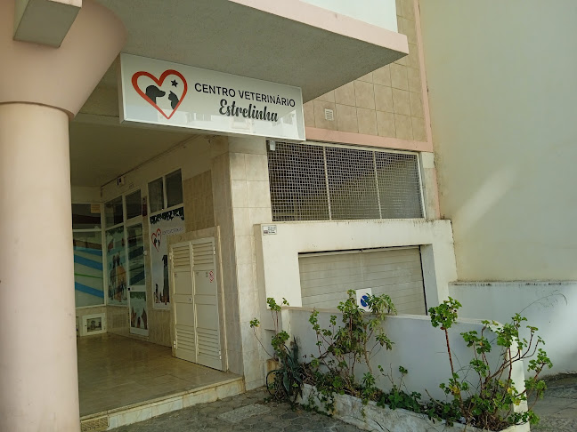 Centro veterinário estrelinha - Portimão
