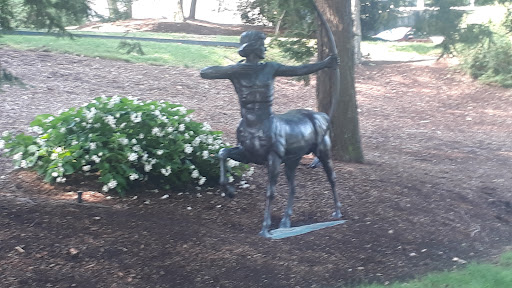 Discount Store «Walmart», reviews and photos, 465 Bridgeport Ave, Shelton, CT 06484, USA