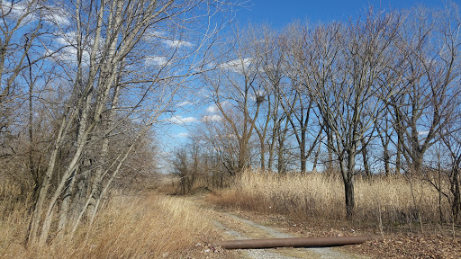 Golf Course «RiverWinds Golf & Tennis Club», reviews and photos, 270 Eagle Point Rd, West Deptford, NJ 08086, USA