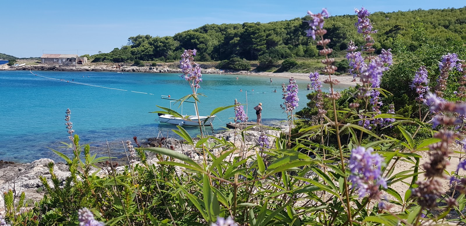 Foto von Zaglav beach mit kleine bucht