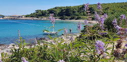 Zdjęcie Zaglav beach z mała zatoka