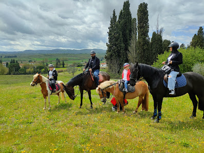 Club Ippico Il Poggio ASD Via del Poggio, 316, 53048 Sinalunga SI, Italia