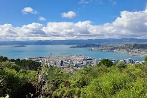 Te Ahumairangi Hill Lookout image