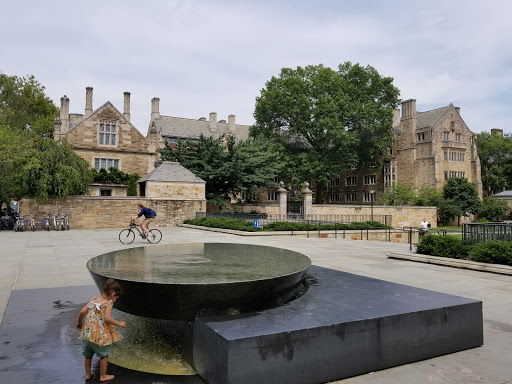 University «Yale University», reviews and photos