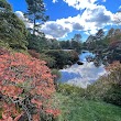 Mount Desert Island