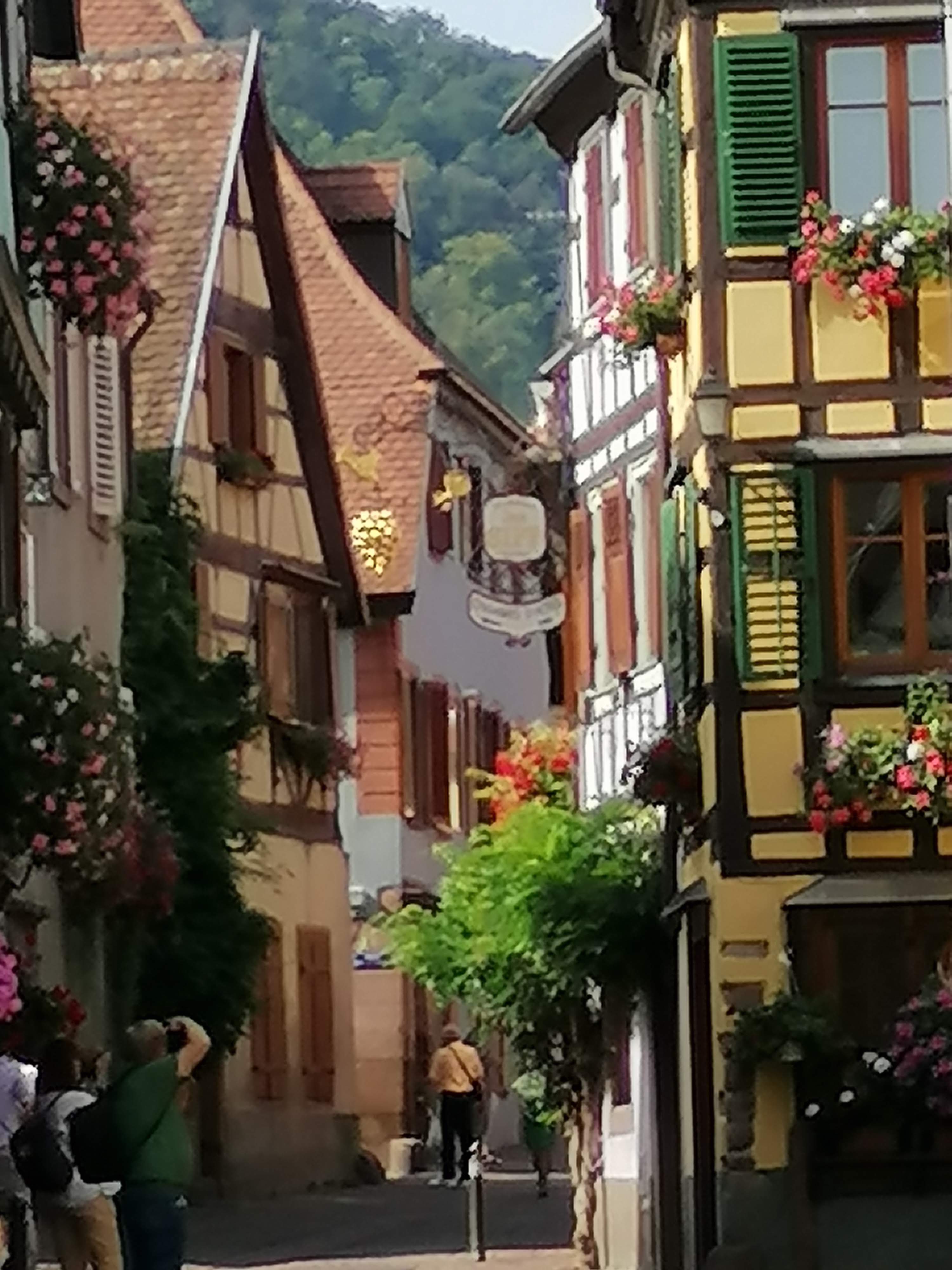 Photo n° 7 de l'avis de Änne.� fait le 26/09/2021 à 15:37