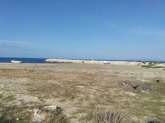 Palem beach Plage