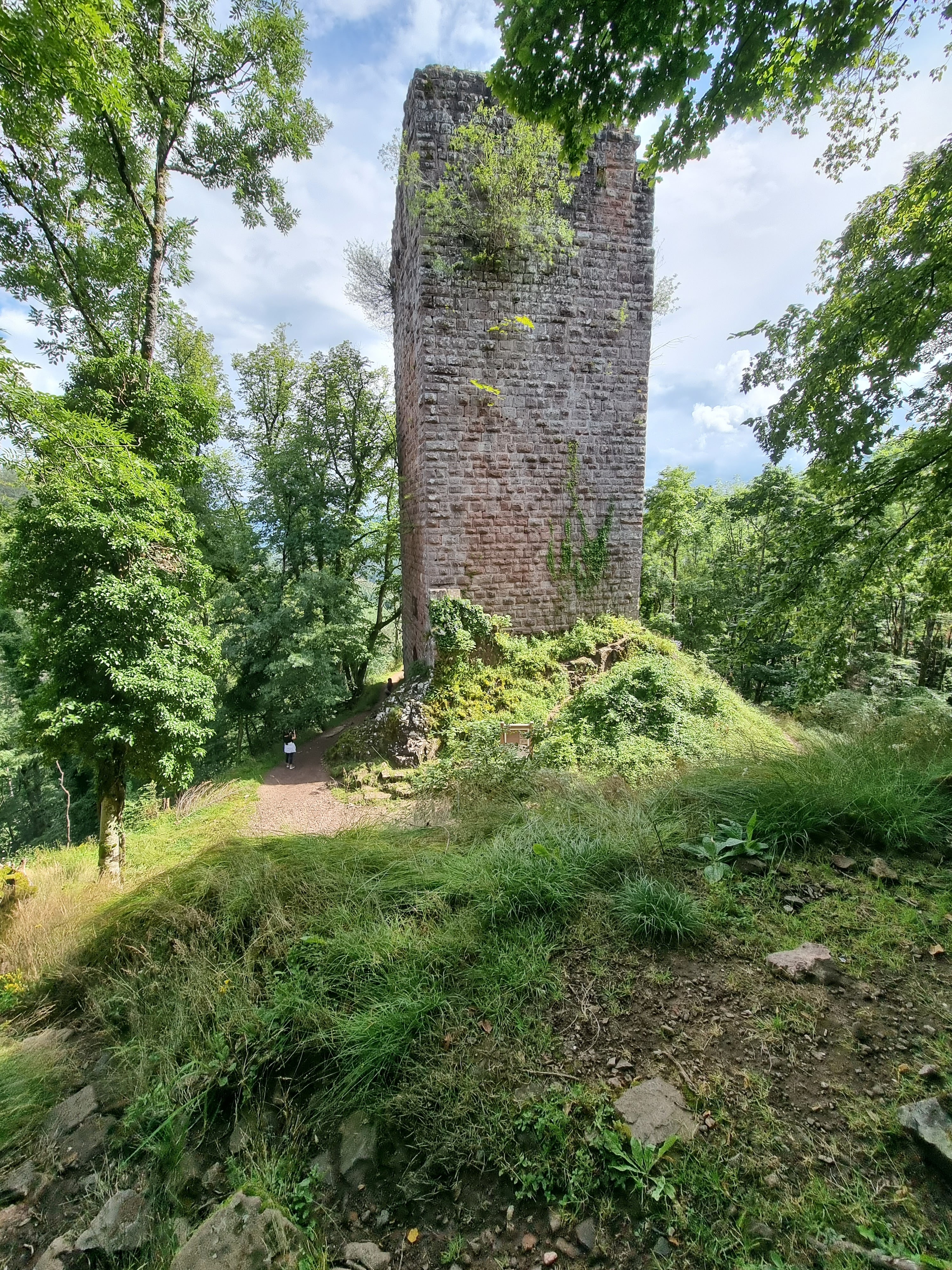 Photo n° 5 de l'avis de Yvann.r fait le 03/08/2021 à 09:57