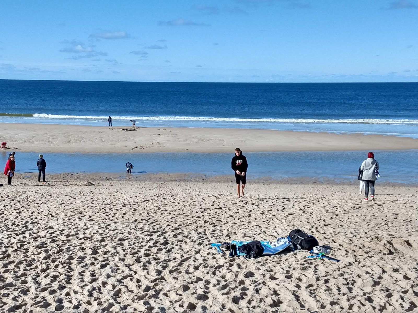 Foto von Hundestrand befindet sich in natürlicher umgebung