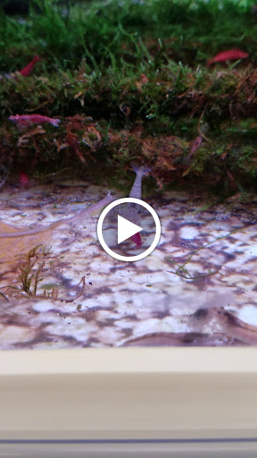 Pet Supply Store «Petco Animal Supplies», reviews and photos, 4751 W 29th St, Greeley, CO 80634, USA