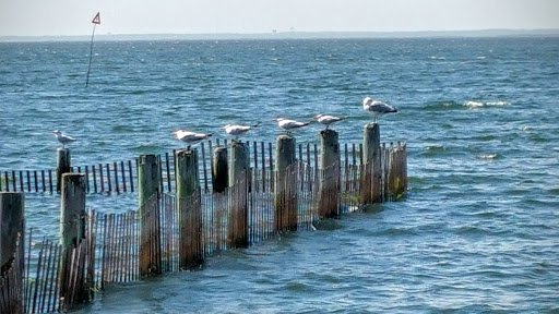 Yacht Club «Brant Beach Yacht Club», reviews and photos, 6106 Bayview Ave, Long Beach Township, NJ 08008, USA