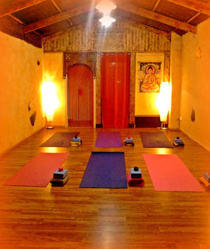 Centros de yoga en San Vicente del Raspeig de 2024