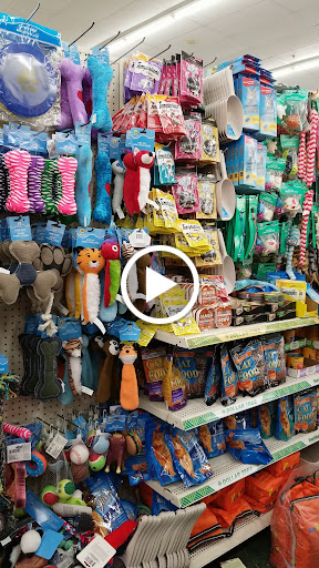 Dollar Store «Dollar Tree», reviews and photos, 100 Northeast Ave, North East, MD 21901, USA