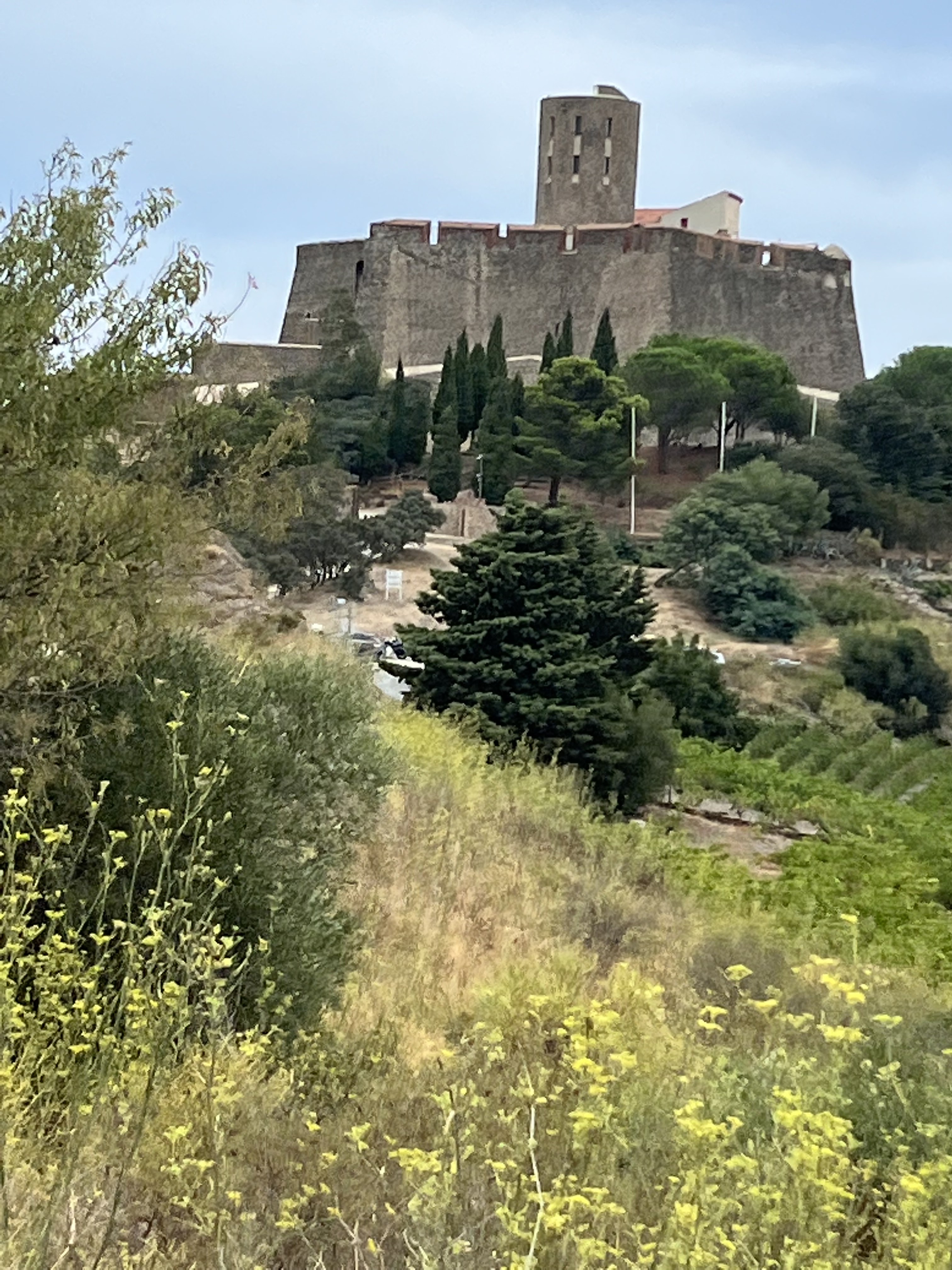 Photo n° 1 de l'avis de Moussa.a fait le 01/09/2022 à 13:58
