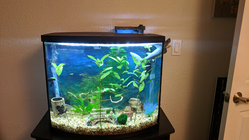 Pet Supply Store «PetSmart», reviews and photos, 4300 E Alameda Ave, Glendale, CO 80246, USA