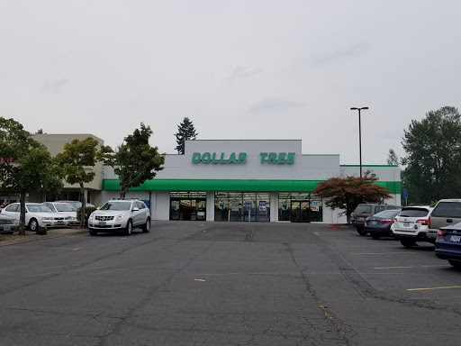 Dollar Store «Dollar Tree», reviews and photos, 15574 SE McLoughlin Blvd, Milwaukie, OR 97267, USA