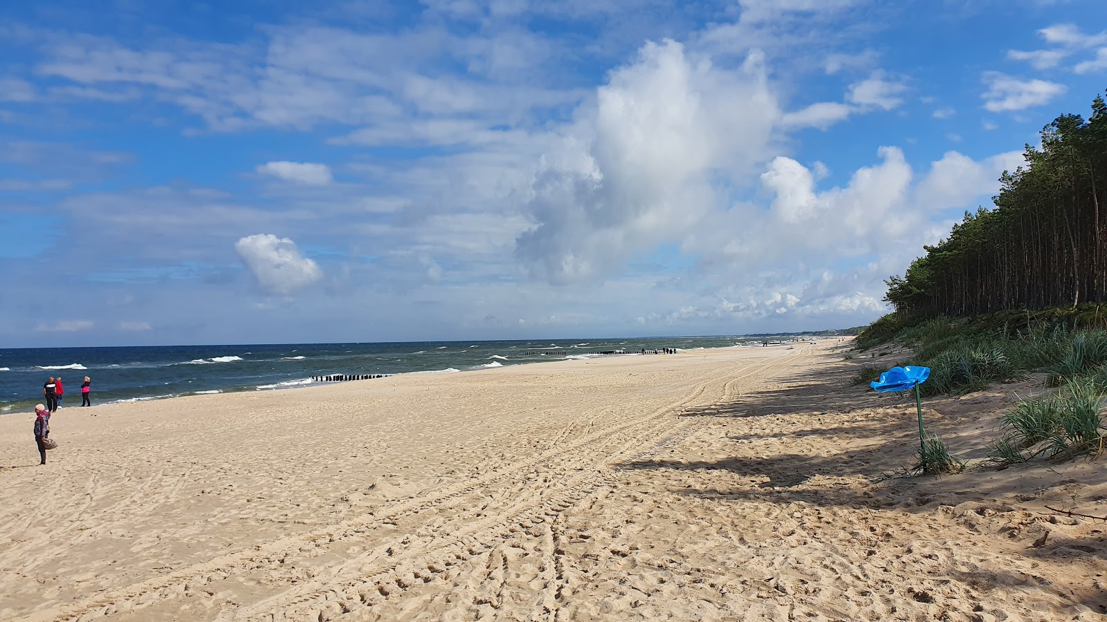 Zdjęcie Mielenko beach - dobre miejsce przyjazne zwierzętom domowym na wakacje