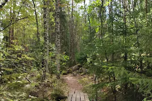 Känkkärä Nature Trail image