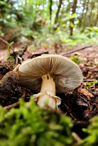 Park «Viewpoint Park», reviews and photos, 134th & NE 24th Street, Bellevue, WA 98005, USA