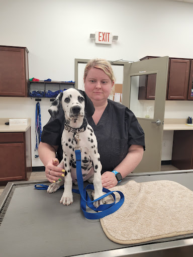 Pet Supply Store «Pet Club Cave Creek», reviews and photos, 4725 E Carefree Hwy, Cave Creek, AZ 85331, USA