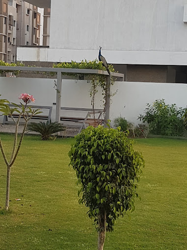 Google Maps image 13