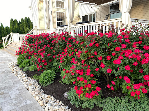 Produce Market «Puglias Produce», reviews and photos, 381 Fries Mill Rd, Sewell, NJ 08080, USA