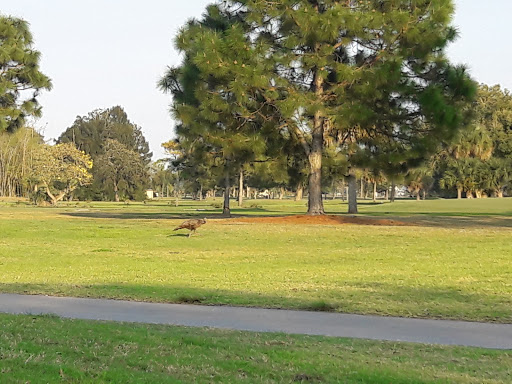 Golf Course «Clewiston Golf Course», reviews and photos, 1201 San Luiz Ave, Clewiston, FL 33440, USA