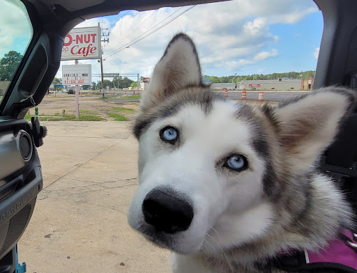 Donut Shop «The Do-Nut Shop Cafe», reviews and photos, 718 US 49, Richland, MS 39218, USA