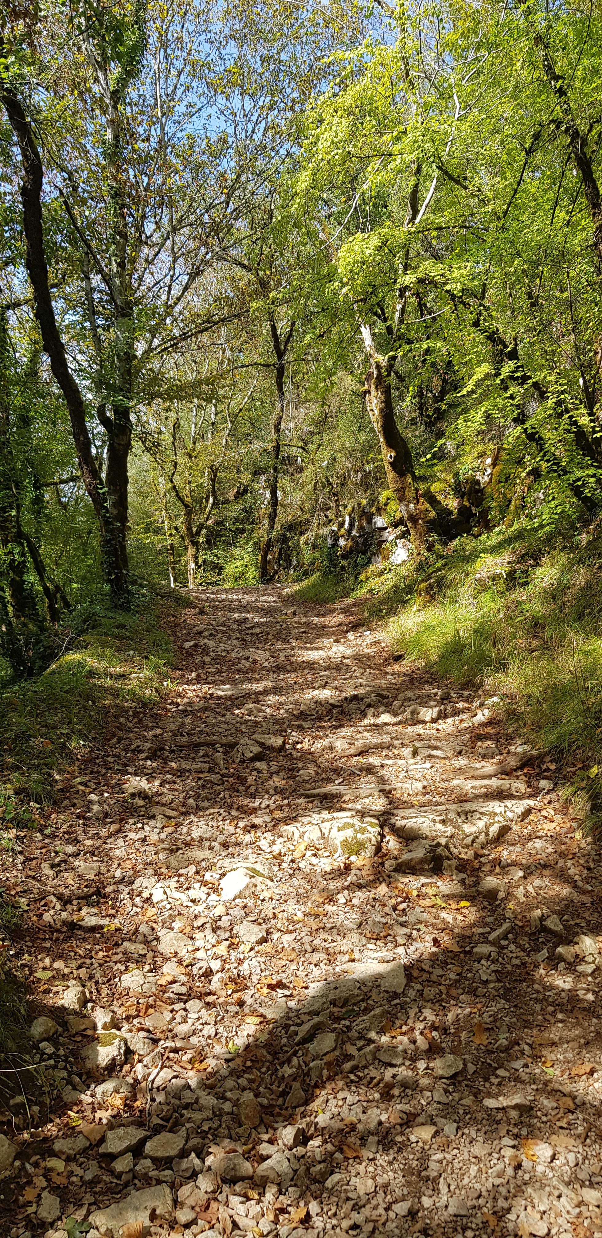 Photo n° 10 de l'avis de jean-marc.e fait le 13/10/2023 à 12:03