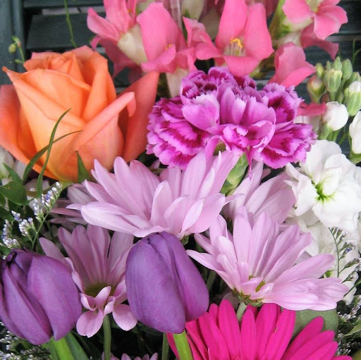 Florist «Best Wishes Floral», reviews and photos, 689 Winnetka Ave N, Golden Valley, MN 55427, USA