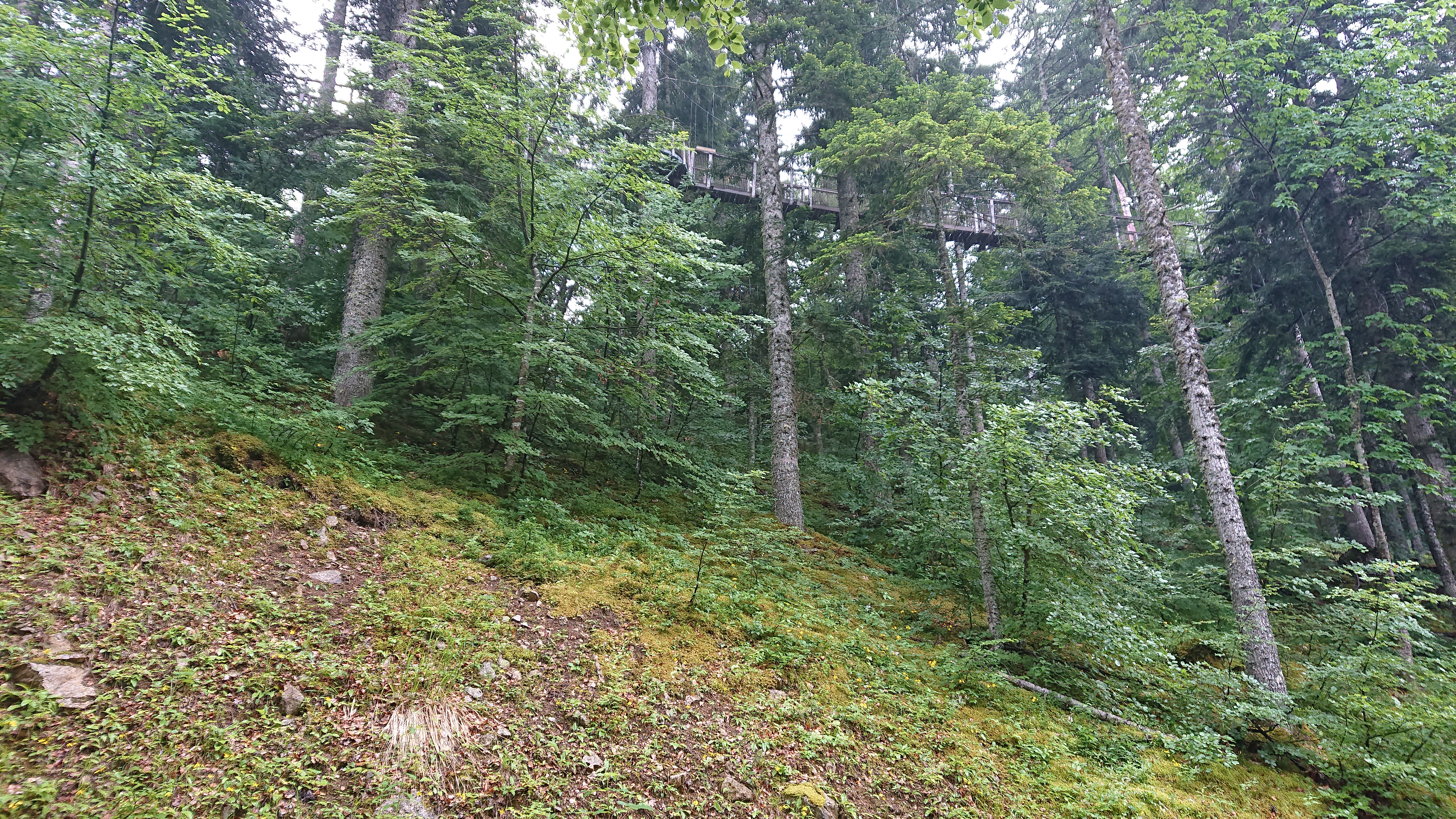 Photo n° 10 de l'avis de Natalie.A fait le 30/06/2019 à 17:07