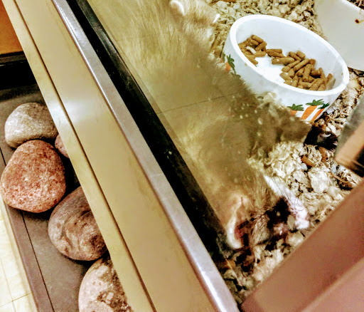 Pet Supply Store «Petco Animal Supplies», reviews and photos, 1621 Emmet St N, Charlottesville, VA 22901, USA