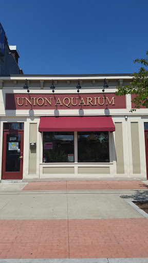 Tropical Fish Store «Union Aquarium & Pet Supplies Inc», reviews and photos, 1617 Union St # 2, Schenectady, NY 12309, USA