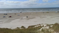 Børsmose Strand'in fotoğrafı - rahatlamayı sevenler arasında popüler bir yer