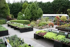 Liscahane Nursery and Garden Centre image