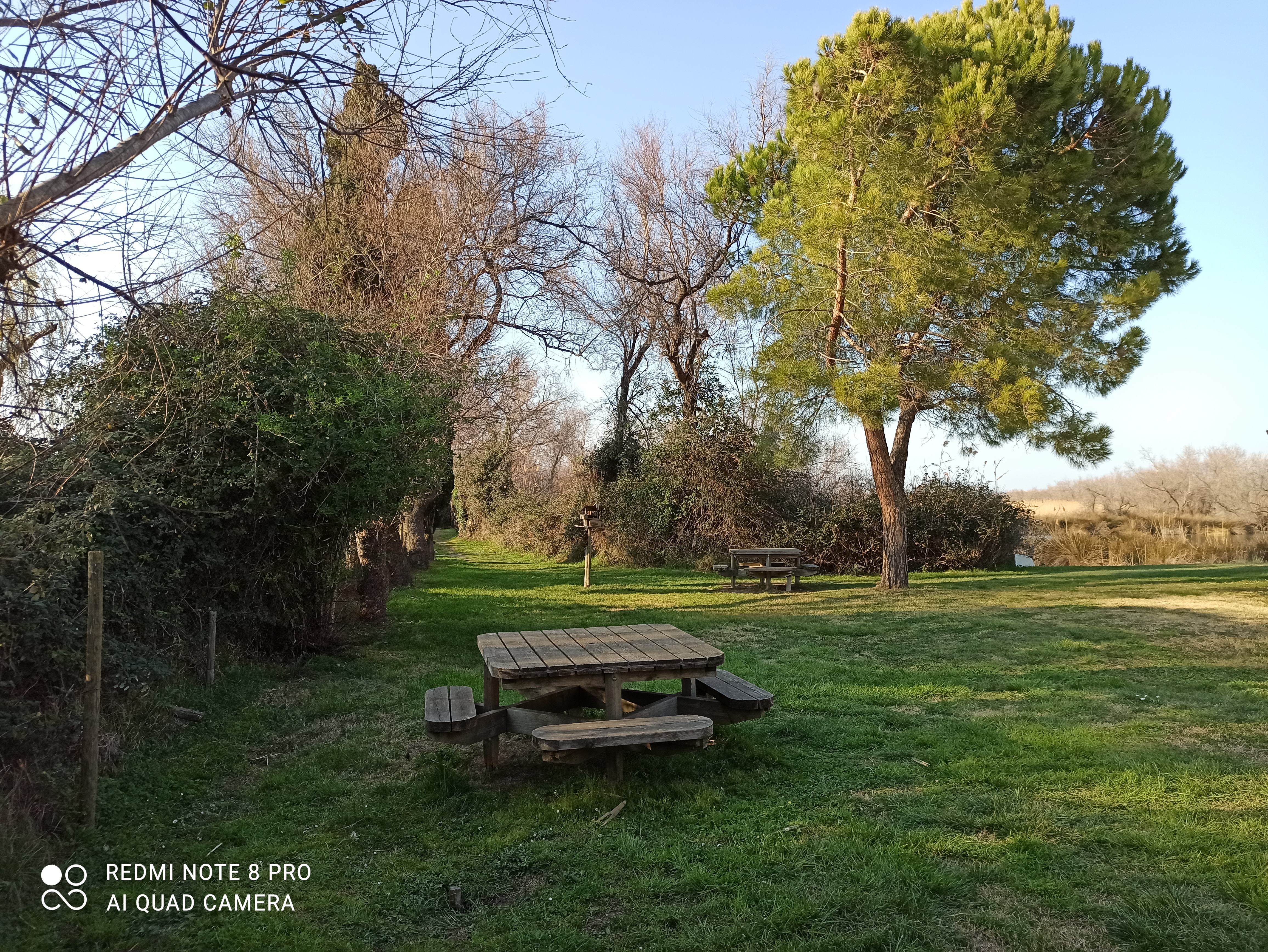 Photo n° 16 de l'avis de Frédéric.a fait le 06/03/2022 à 18:29