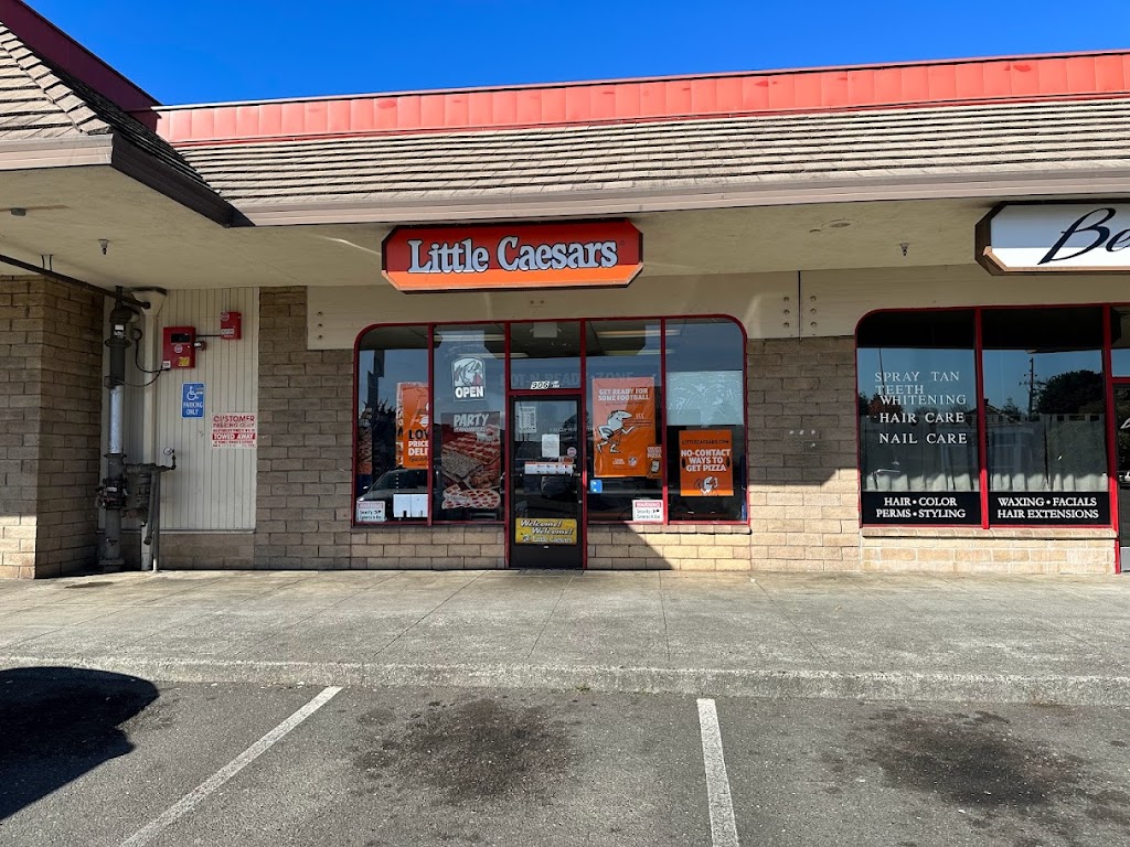 Little Caesars Pizza 95501