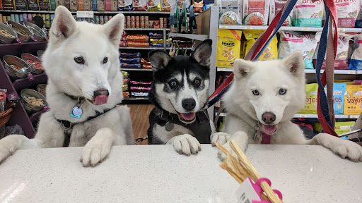 All The Best Pet Care - West Seattle