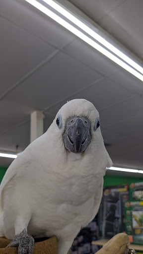 Pet Store «Leesburg Pet Center», reviews and photos, 959 N 14th St, Leesburg, FL 34748, USA