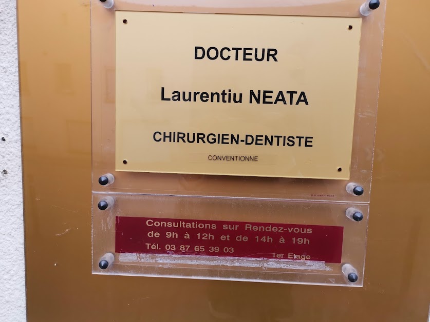 NEATA Laurentiu à Metz