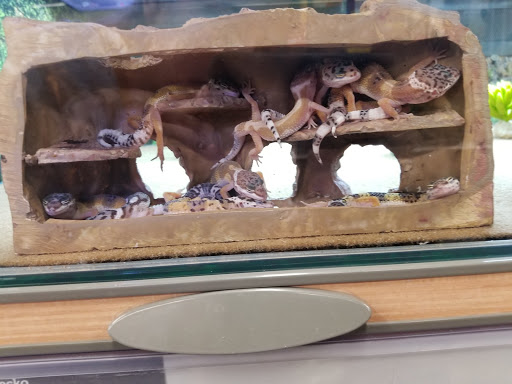 Pet Supply Store «Petco Animal Supplies», reviews and photos, 5850 Sepulveda Blvd, Van Nuys, CA 91411, USA