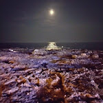 Photo n°2 de l'avis de Emanuele.u fait le 07/09/2023 à 05:52 sur le  Bojo Fish/Burger à Torre San Giovanni