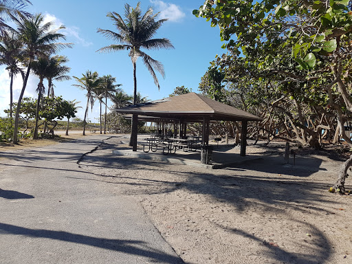 Park «North Shore Open Space Park», reviews and photos, 8328 Collins Ave, Miami Beach, FL 33141, USA