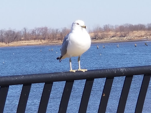 Park «Keyport Waterfront Park», reviews and photos, American Legion Dr, Keyport, NJ 07735, USA