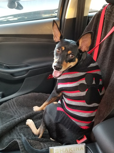 Pet Supply Store «Pet Supermarket», reviews and photos, 2924 13th St, St Cloud, FL 34769, USA