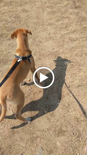 Convenience Store «Convenience Plus», reviews and photos, 13655 W Jewell Ave, Lakewood, CO 80228, USA