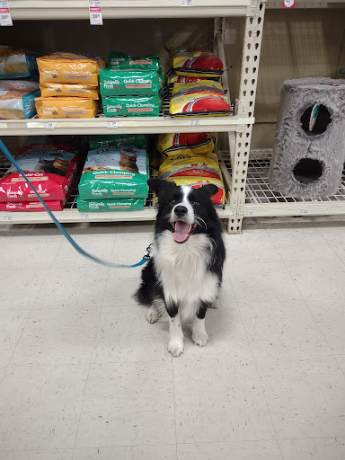 Pet Supply Store «PetSmart», reviews and photos, 825 Pilgrim Way, Green Bay, WI 54304, USA