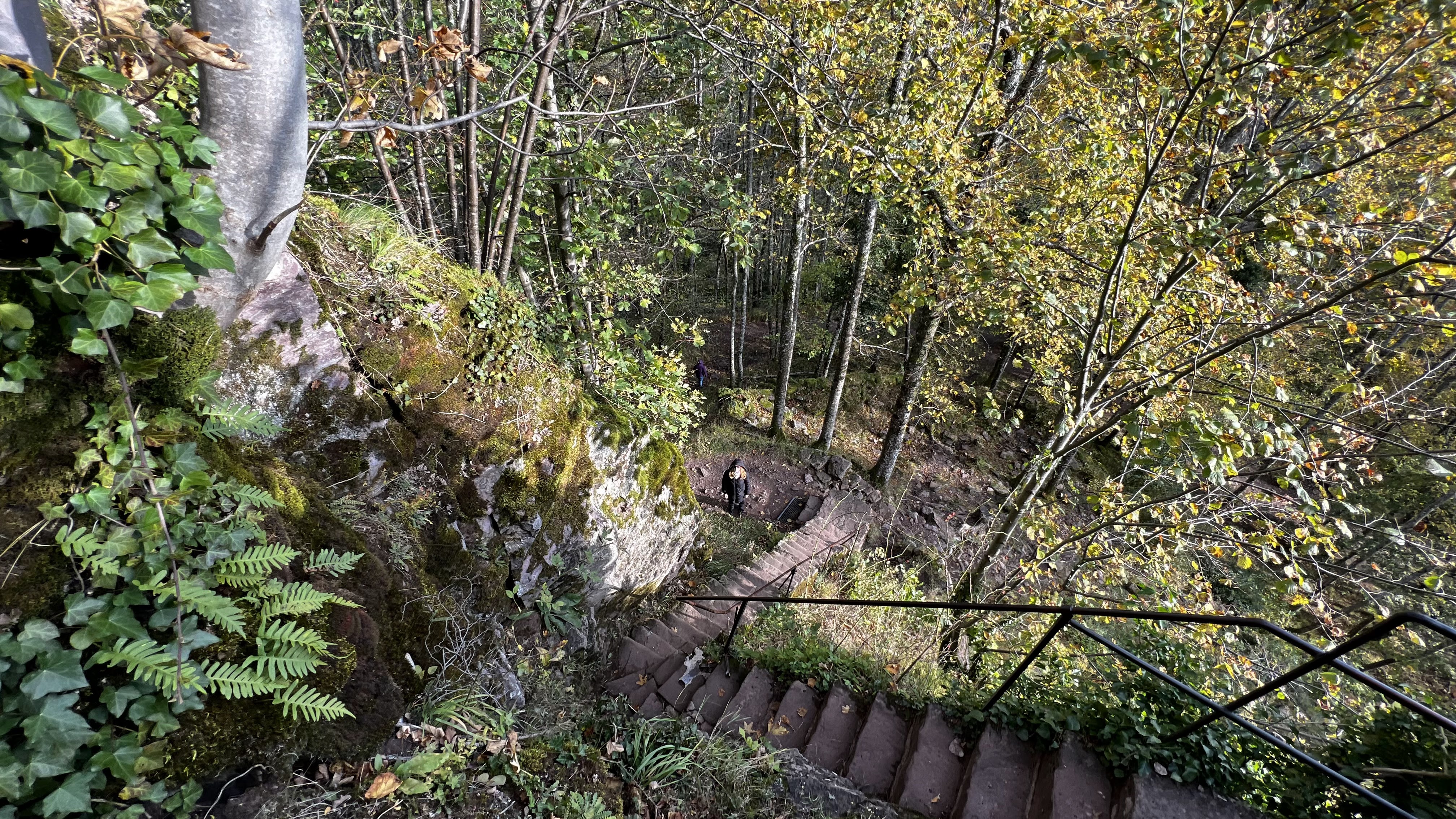 Photo n° 4 de l'avis de Ricardo.o fait le 23/10/2021 à 17:28