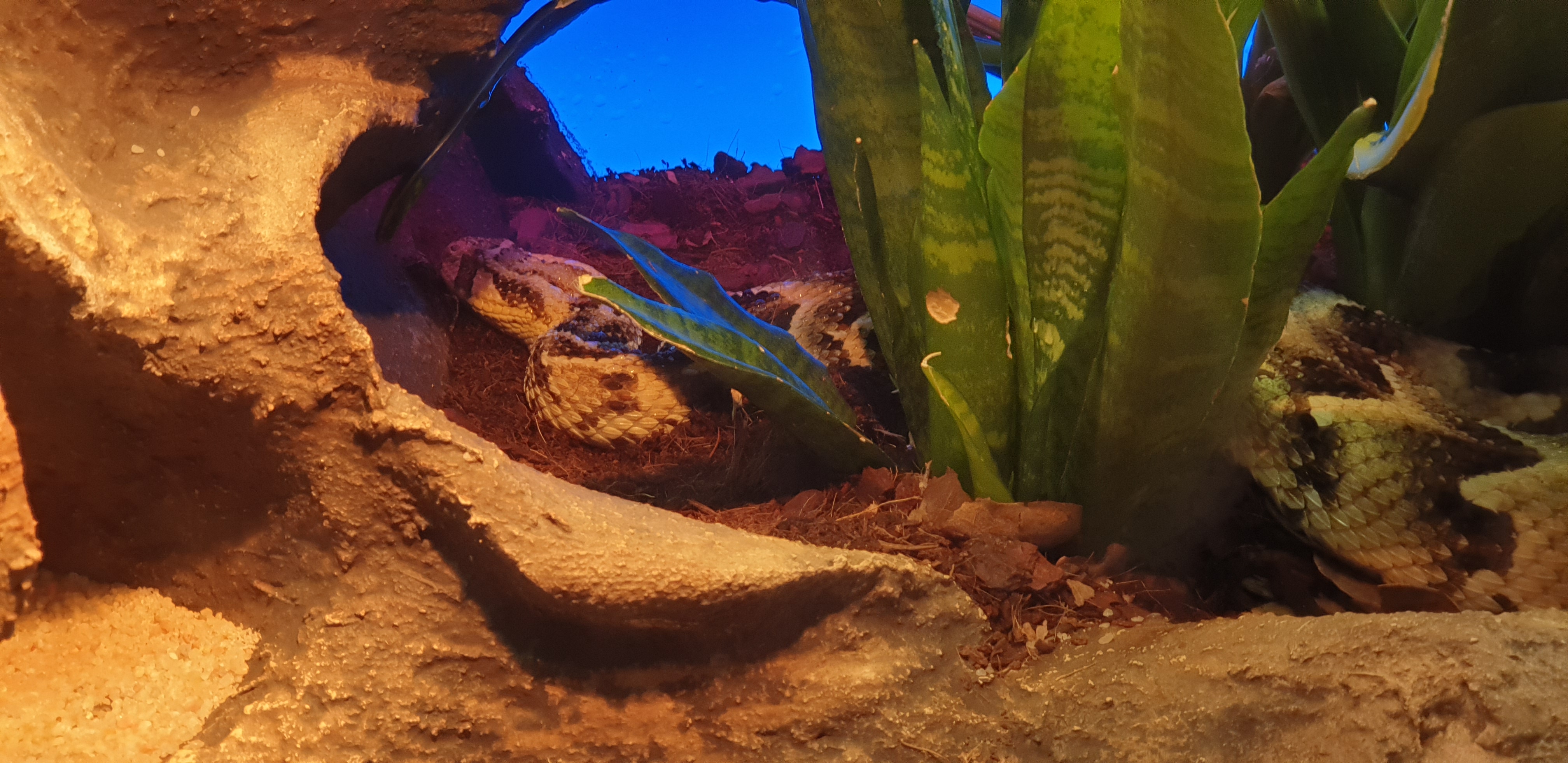 Photo n° 21 de l'avis de Hugo.g fait le 28/06/2019 à 06:35
