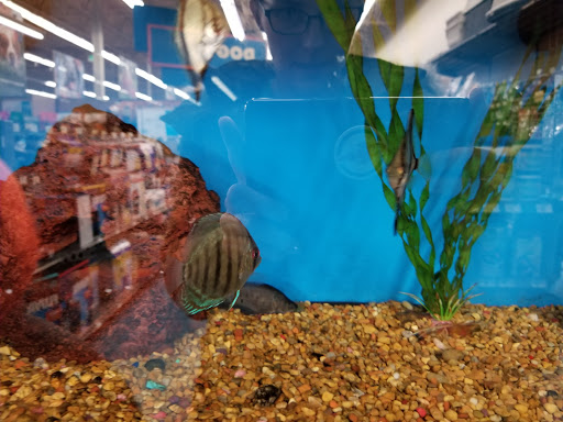 Pet Supply Store «Petco Animal Supplies», reviews and photos, 22000 Dulles Retail Plaza #110, Sterling, VA 20166, USA